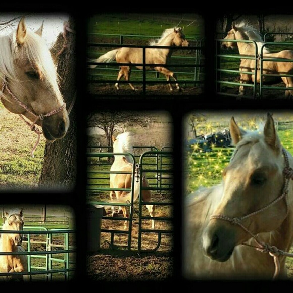 Meet your Posher, Patricia - Picture 8 of 8